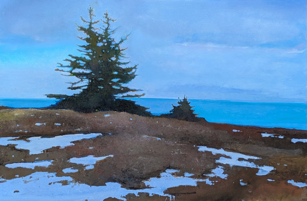 Spruce along Great Head Trail by Robert Pollien_24x36
