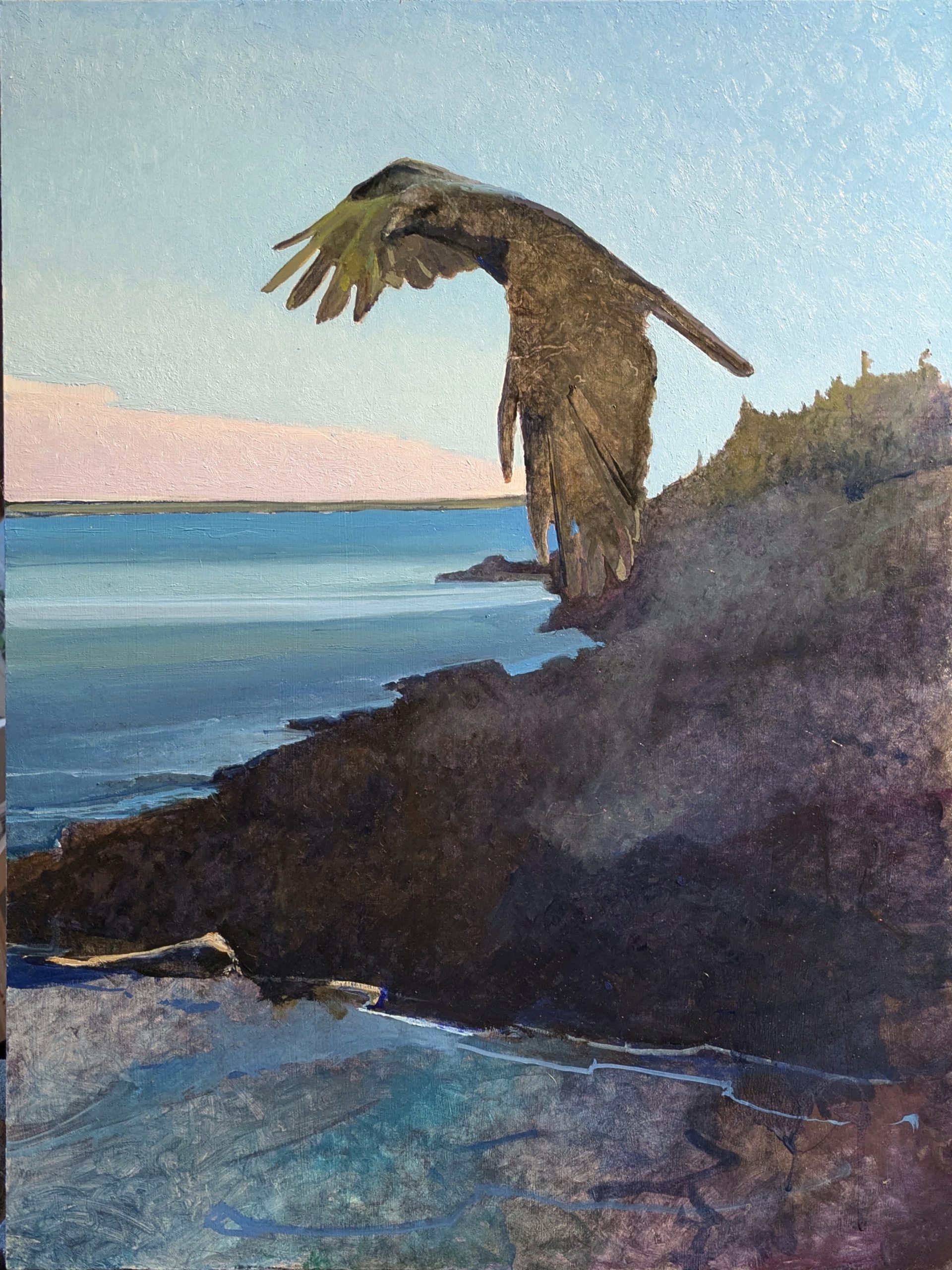 Crow over Western Point, 24 x 18"