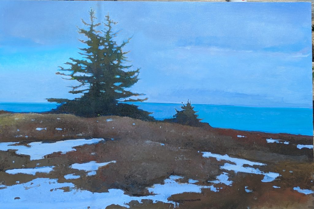 Spruce, Great Head, 24 x 26